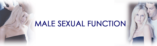 Male sexual function